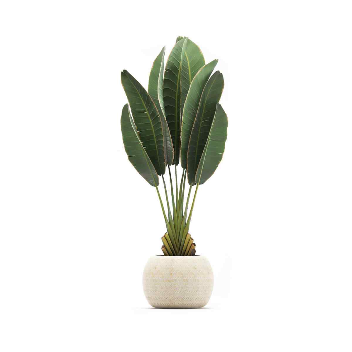https://landscapeart.com.ua/wp-content/uploads/2018/09/product_06.jpg