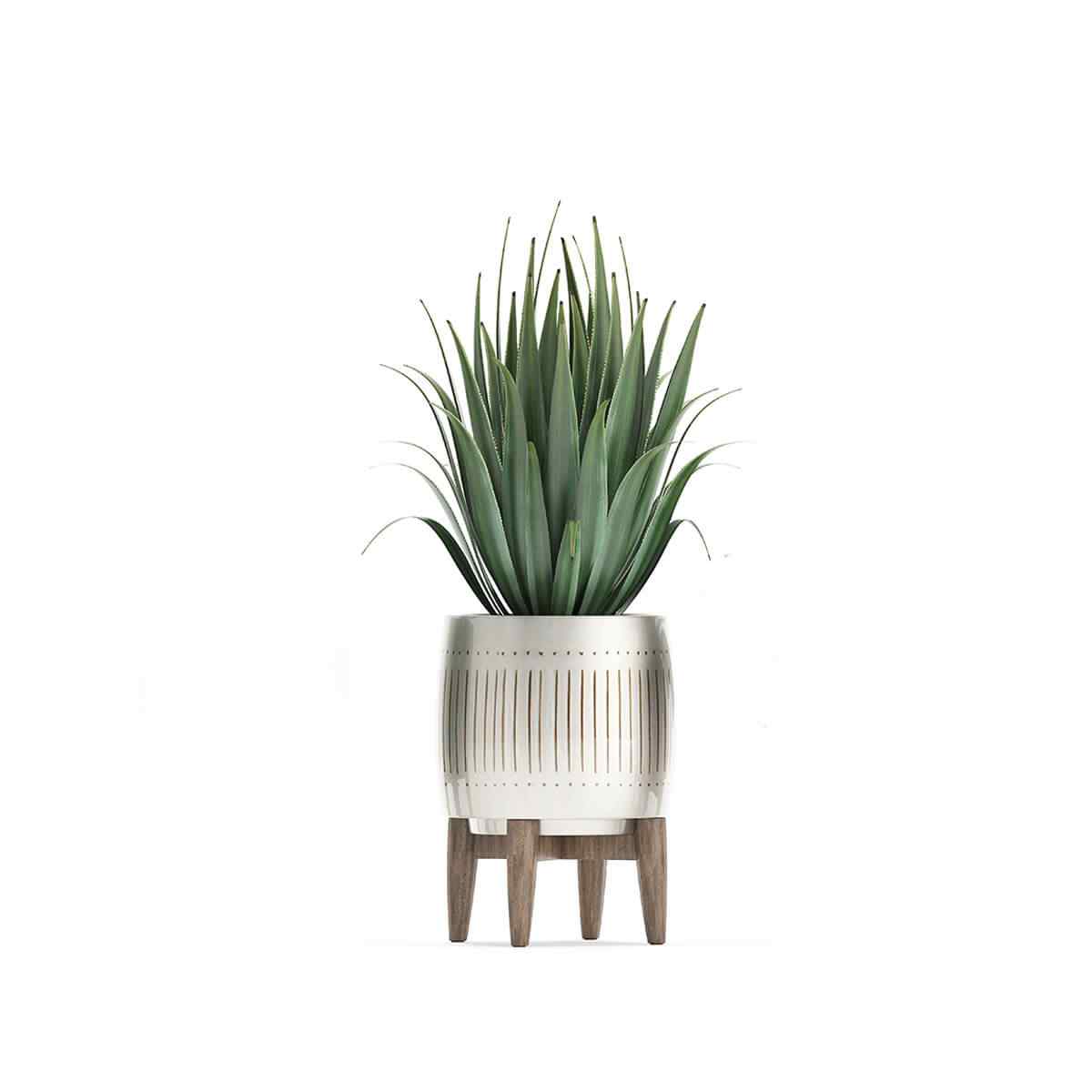https://landscapeart.com.ua/wp-content/uploads/2018/09/product_07.jpg