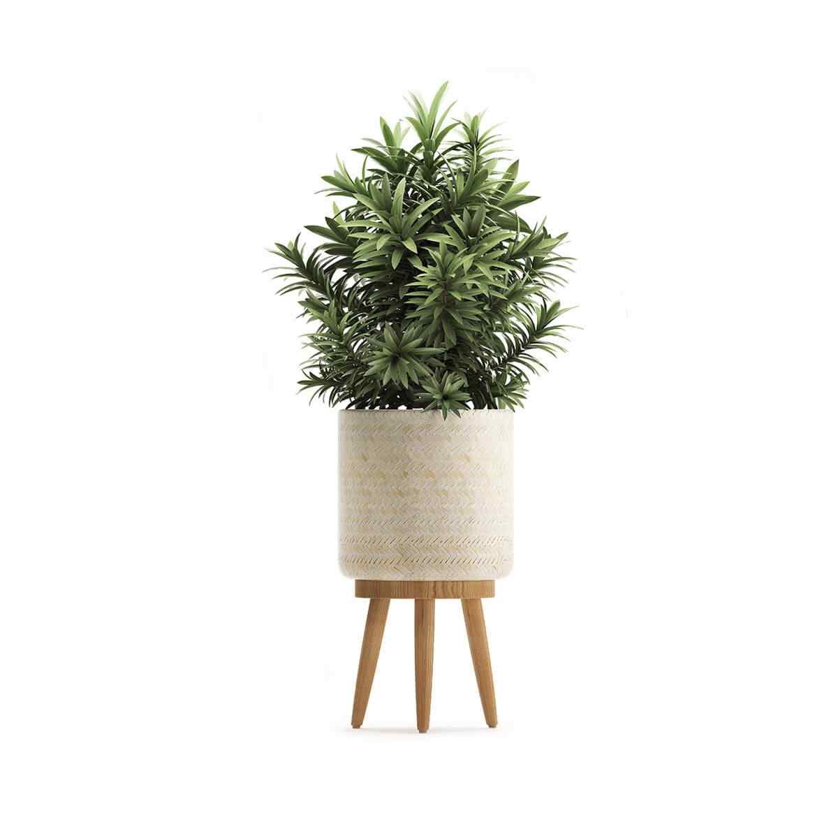 https://landscapeart.com.ua/wp-content/uploads/2018/09/product_08.jpg